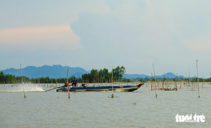 cá đồng - Ảnh 12.