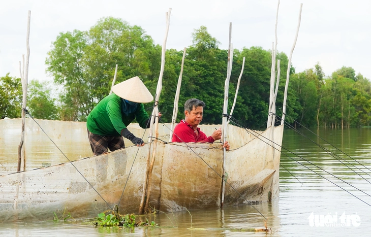 cá đồng - Ảnh 3.