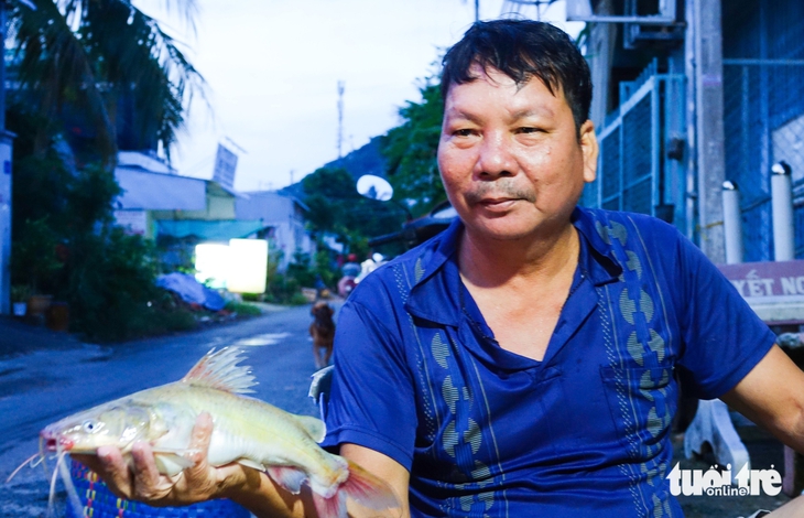 cá đồng - Ảnh 8.