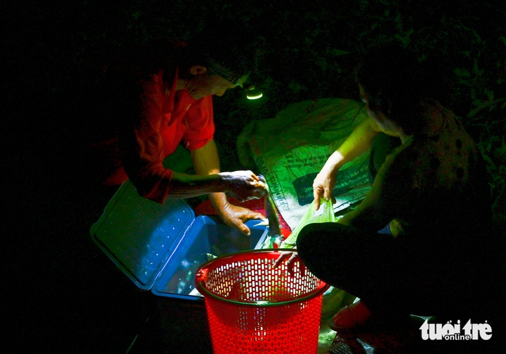 cá đồng - Ảnh 11.