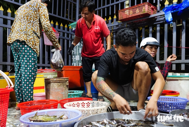 ‘Chợ ma’ cá đồng ở đầu nguồn An Giang nhộn nhịp vào mùa - Ảnh 1.