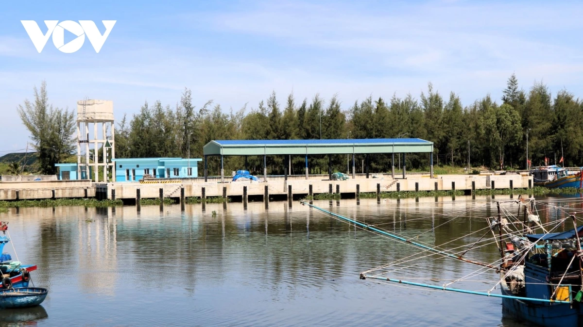 Da nang phat trien nghe ca hien dai, xanh va ben vung hinh anh 2