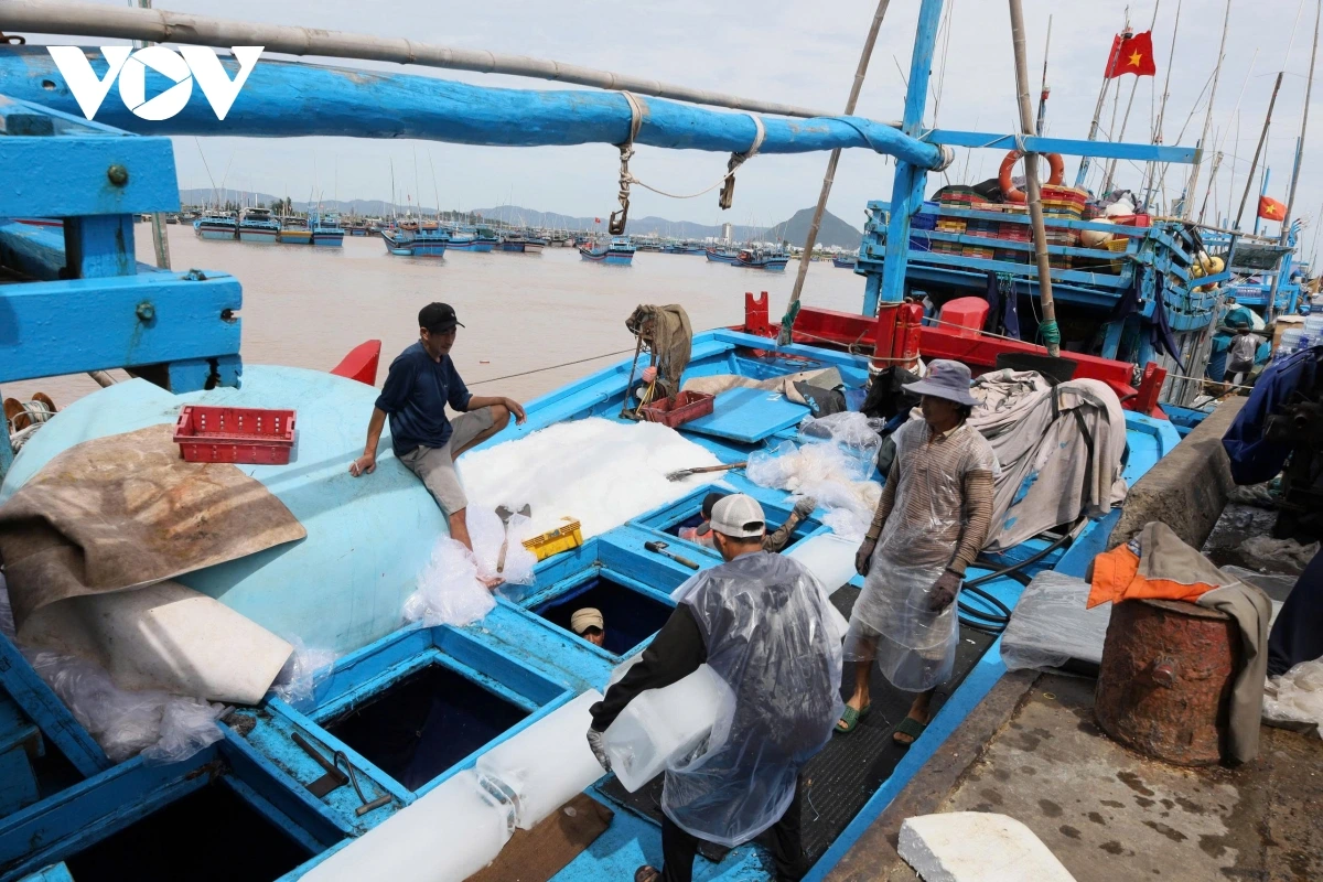 Đắk lắk siết chặt quản lý tàu cá, quyết tâm gỡ thẻ vàng iuu hình ảnh 2 Dak lak siet chat quan ly tau ca, quyet tam go the vang iuu hinh anh 2