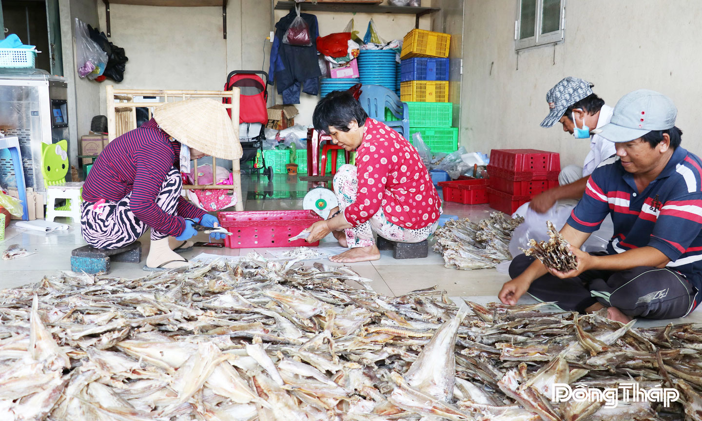 Công đoạn chuẩn bị và phơi cá ở Làng nghề cá khô Gia Thuận. 