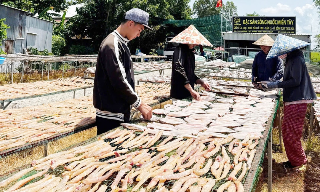 Sản phẩm khô cá lóc của Cơ sở sản xuất khô cá Thương BP (1)