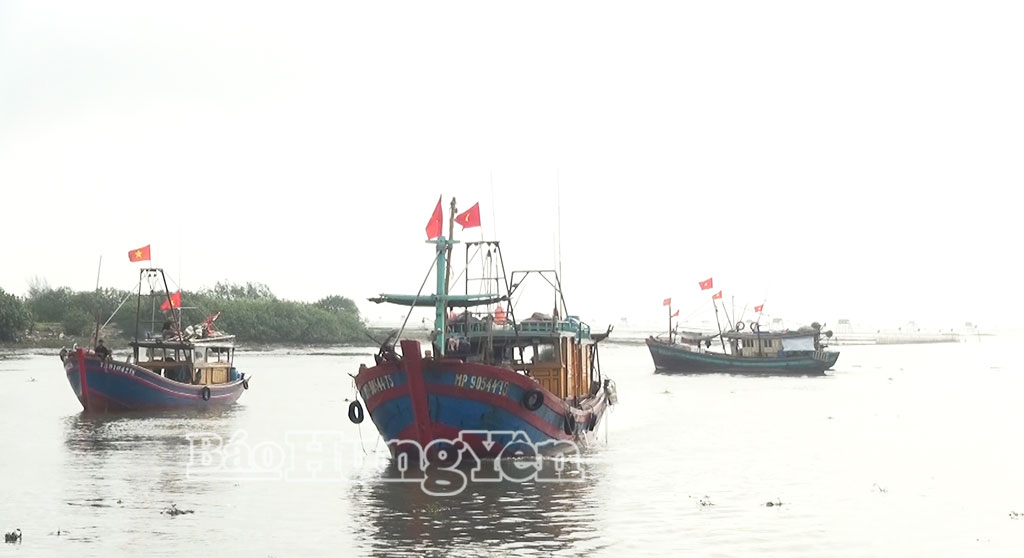 Tàu cá của ngư dân xã Nam Cường ra khơi đánh bắt hải sản.