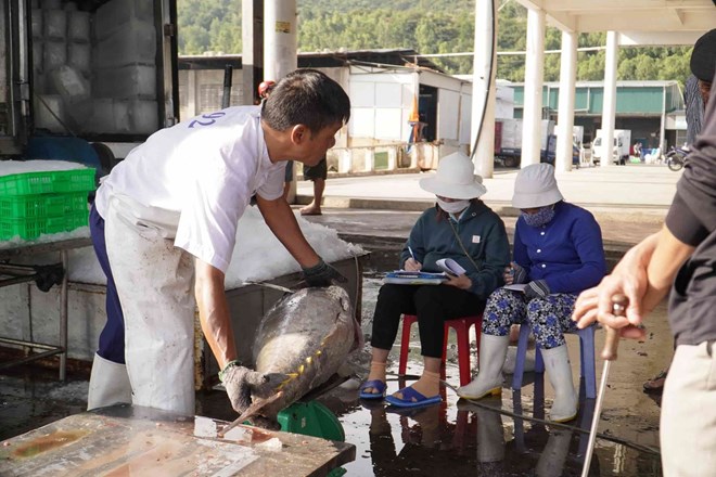 Khánh Hòa triển khai đợt cao điểm chống khai thác hải sản IUU