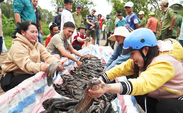 xuyệt điện - Ảnh 1.