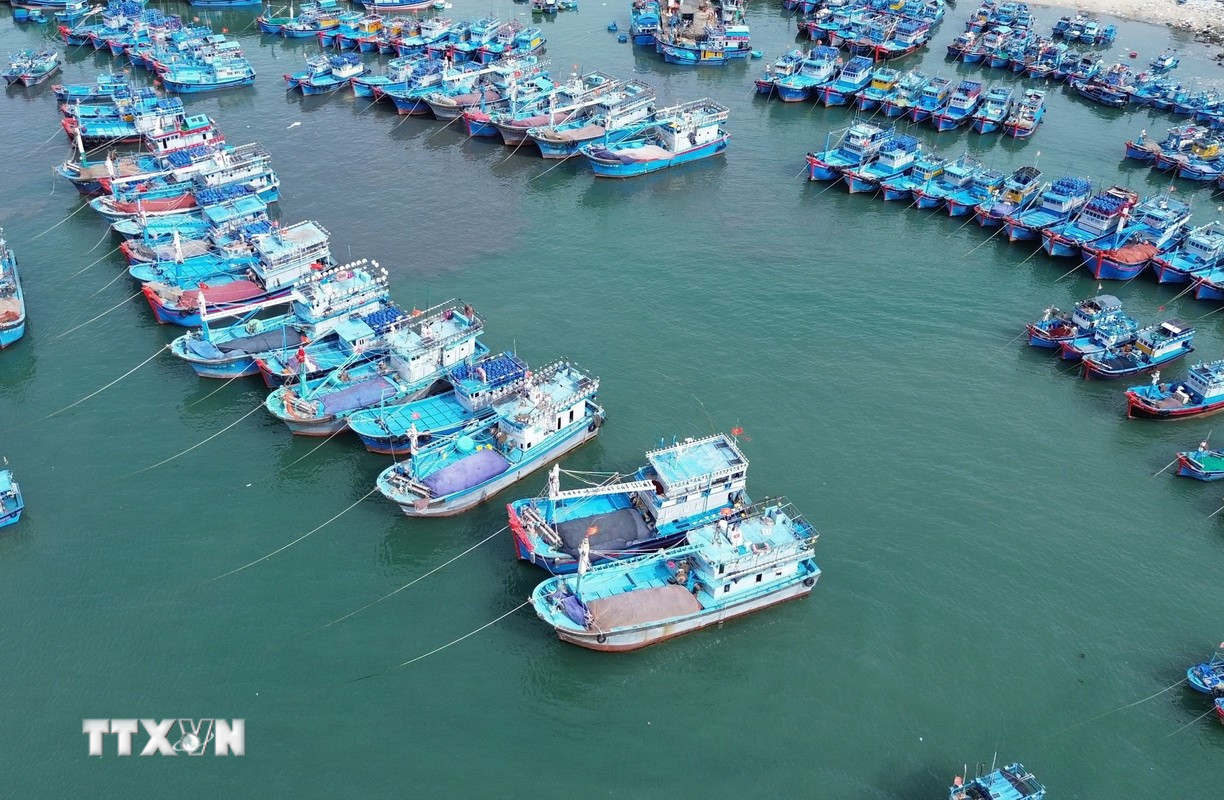 Ảnh minh họa. (Ảnh: TTXVN)