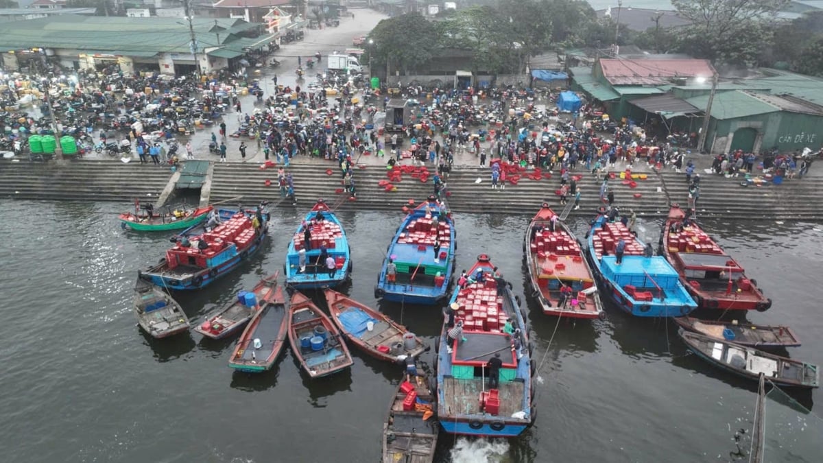 Nghệ An hướng tới nghề cá có trách nhiệm, bền vững. Ảnh: Đình Tiệp.
