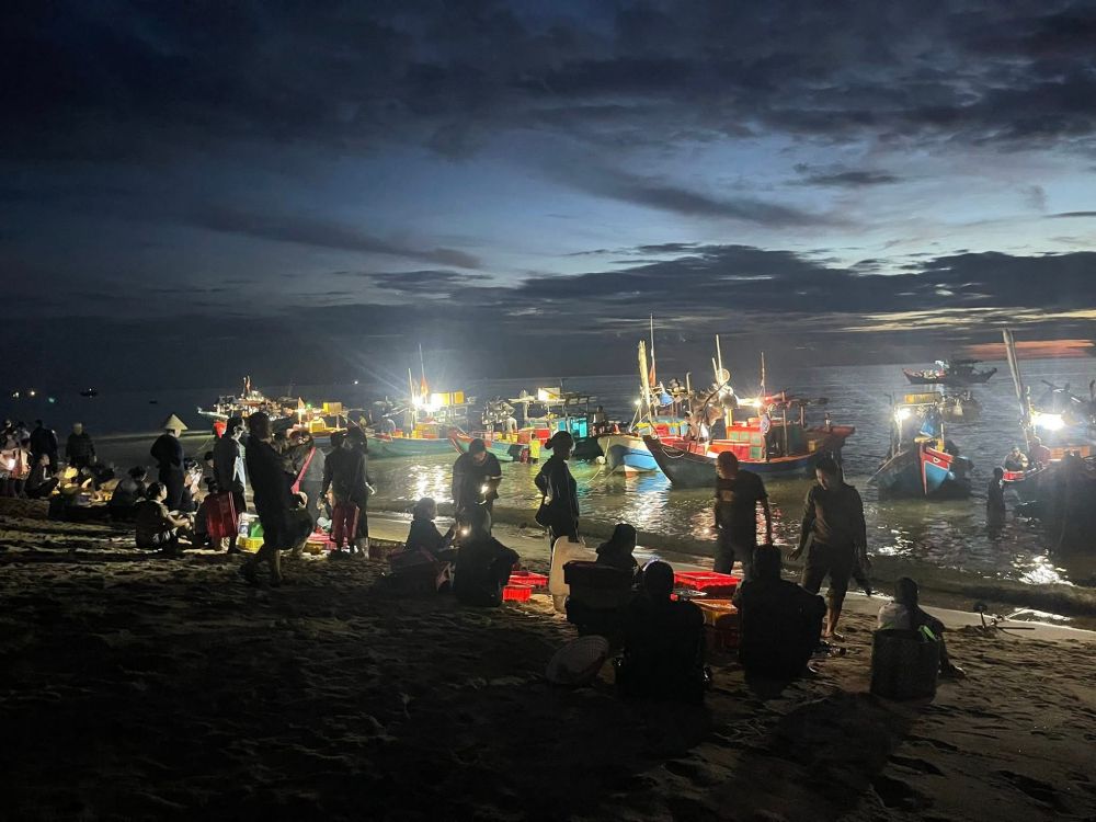 Những đoàn thuyền hối hả trở về bờ mang theo những mẻ hải sản tươi ngon.