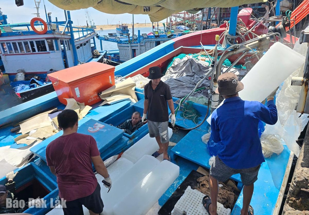 Ngư dân đưa đá lạnh lên tàu để chuẩn bị cho chuyến biển mới.
