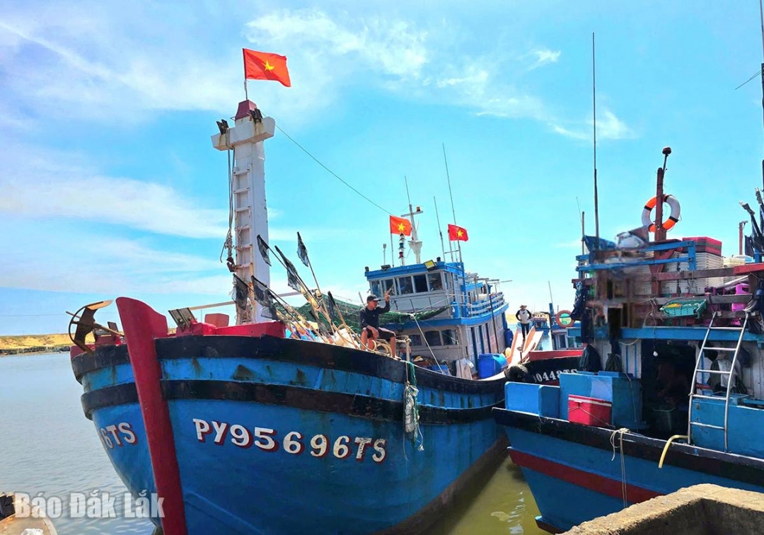 Tàu cá của ngư dân Đắk Lắk cập cảng dịp nghỉ lễ Quốc khánh 2/9 với niềm vui được mùa.