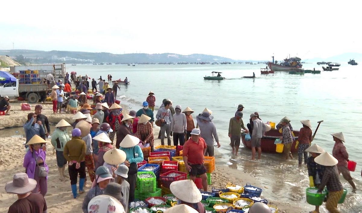 Bãi sau Mũi Né nhộn nhịp tàu thuyền cập bến vào sáng sớm. Ảnh: Duy Tuấn 