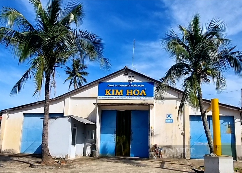 Người đàn ông quyết giữ tinh tuý nước mắm truyền thống Phú Quốc được nhận danh hiệu Nông dân Việt Nam xuất sắc 2023 - Ảnh 6.