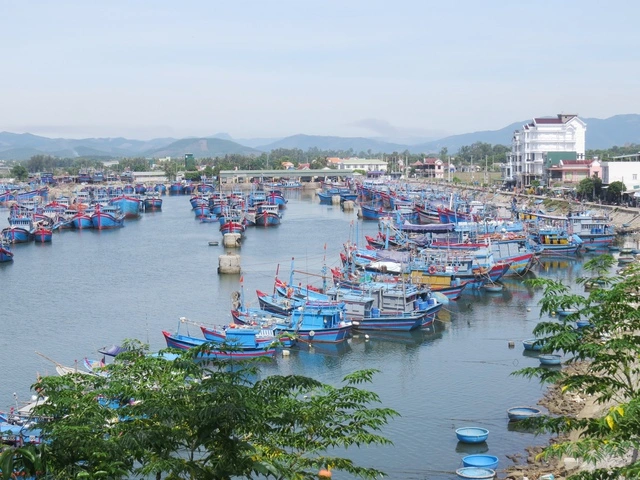 Tâm tình của biển: Chừa cá nhỏ cho ngày sau - Ảnh 2.