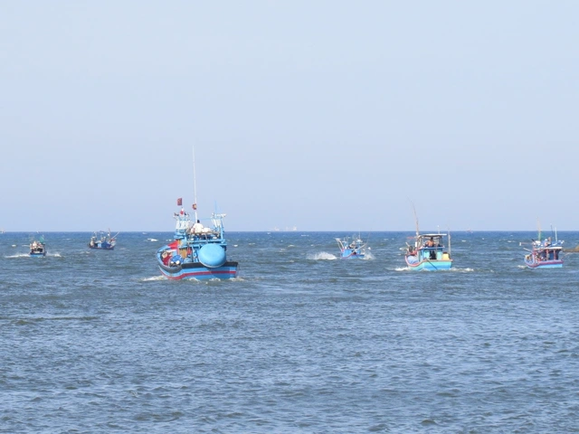 Tâm tình của biển: Chừa cá nhỏ cho ngày sau - Ảnh 1.