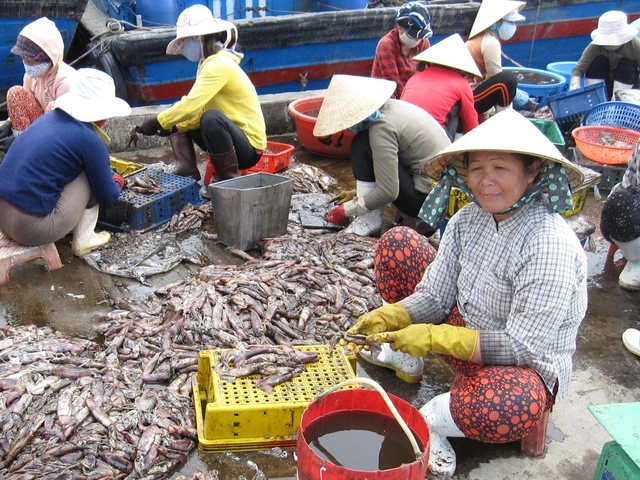 Tâm tình của biển: Lao đao vì giã cào - Ảnh 3.
