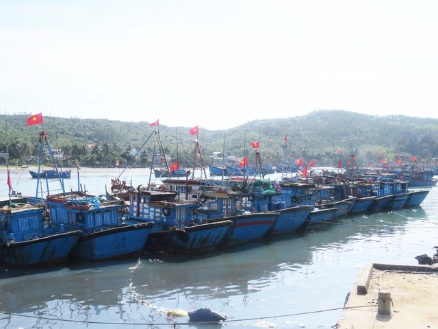 Tâm tình của biển: Lao đao vì giã cào - Ảnh 4.