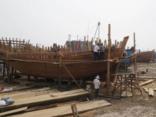 Tâm tình của biển: Lao đao vì giã cào - Ảnh 2.