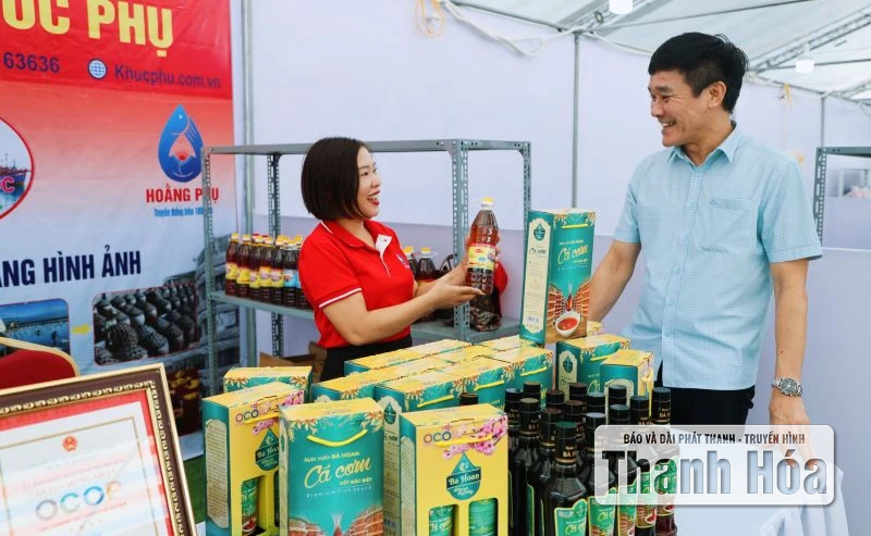 Khai mạc phiên chợ giới thiệu nông sản thực phẩm an toàn năm 2025 tại xã Hoằng Hóa