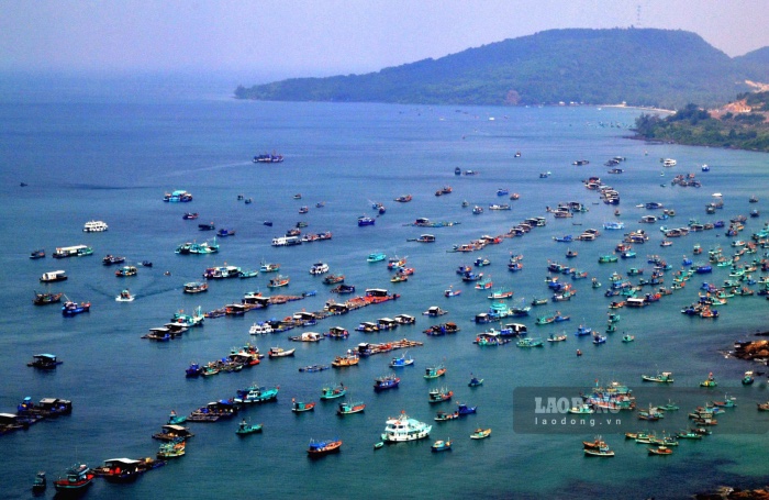 Sau sát nhập Ban Chỉ huy BĐBP trực thuộc Bộ Chỉ huy Quân sự tỉnh An Giang được giao nhiệm vụ quản lý, bảo vệ đường biên giới đất liền dài 147,888 km và bờ biển dài gần 200 km với hơn 100 cửa sông, cửa lạch đổ ra biển, vùng biển rộng khoảng 63.290 km2, tiếp giáp với biển Campuchia, Thái Lan, Malaixia; có chung vùng nước lịch sử với Campuchia (CPC) rộng khoảng 16.000 km2. Trên biển có hơn 143 hòn đảo lớn nhỏ, trong đó 43 đảo có dân sinh sống. Từ năm 2024 đến nay trên địa bàn đồn Biên phòng CKC An Thới không xảy ra bất kỳ vụ việc tàu cá vi phạm khai thác thủy sản trái phép ở vùng biển nước ngoài.