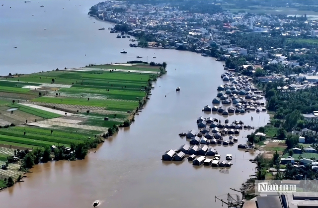 Theo ngư dân săn “cá heo” trên sông nước miền Tây- Ảnh 11.