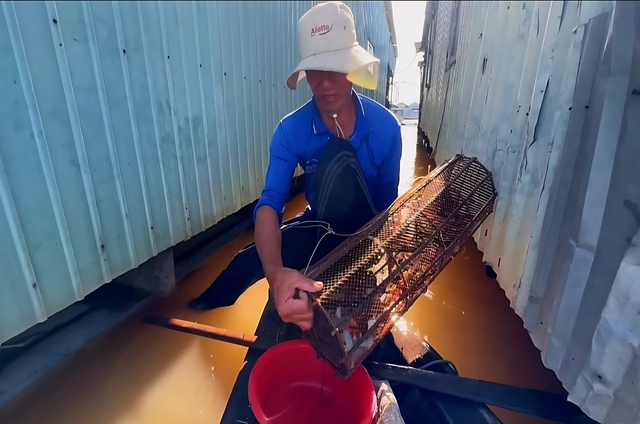 Theo ngư dân săn “cá heo” trên sông nước miền Tây- Ảnh 4.