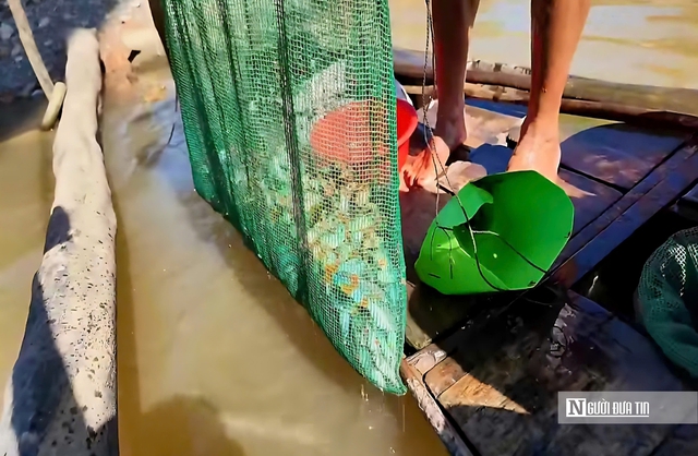 Theo ngư dân săn “cá heo” trên sông nước miền Tây- Ảnh 6.