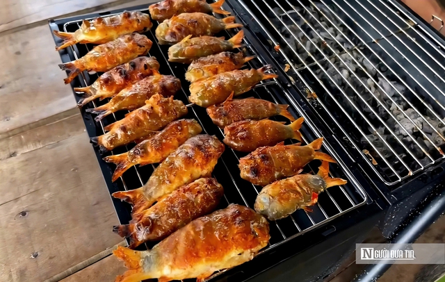 Theo ngư dân săn “cá heo” trên sông nước miền Tây- Ảnh 8.