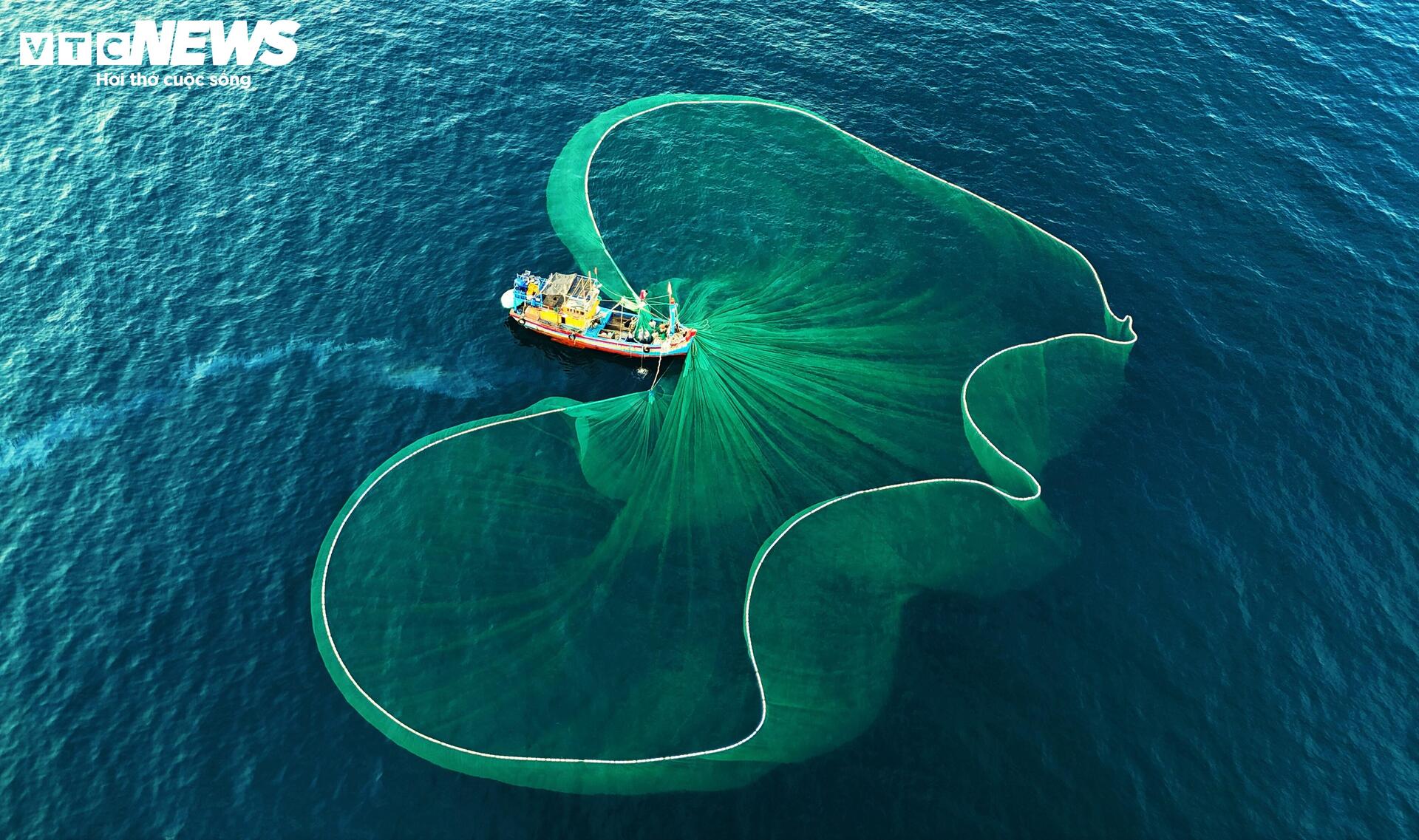 Về làng chài Lộ Diêu ở Gia Lai xem ngư dân ‘vẽ hình’ cỏ ba lá trên biển - 4