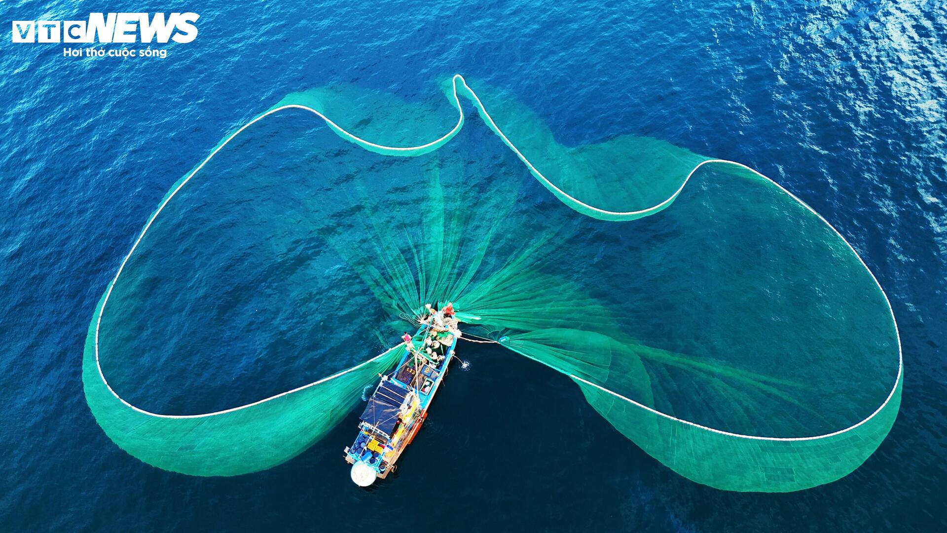 Về làng chài Lộ Diêu ở Gia Lai xem ngư dân ‘vẽ hình’ cỏ ba lá trên biển - 6