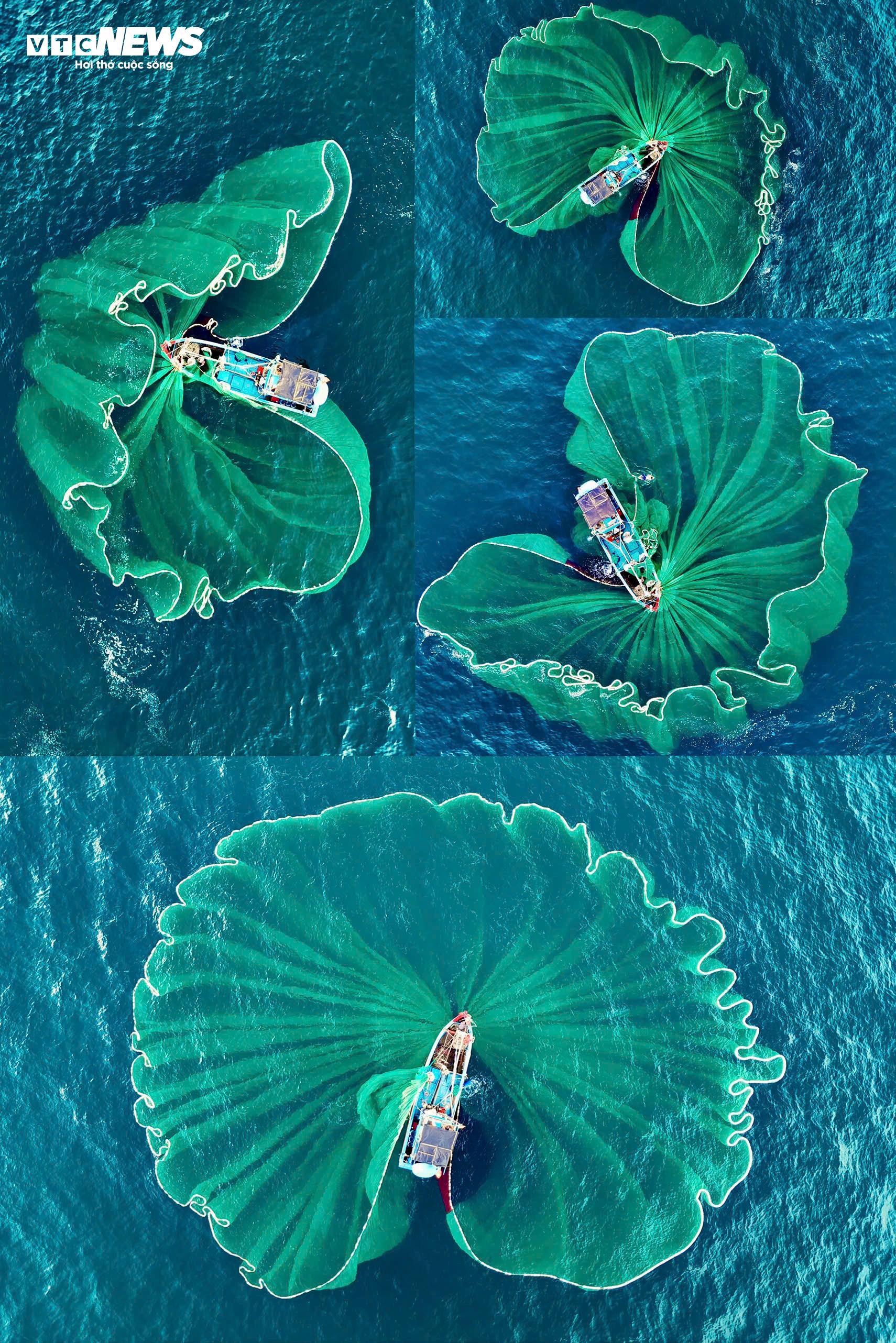 Về làng chài Lộ Diêu ở Gia Lai xem ngư dân ‘vẽ hình’ cỏ ba lá trên biển - 8