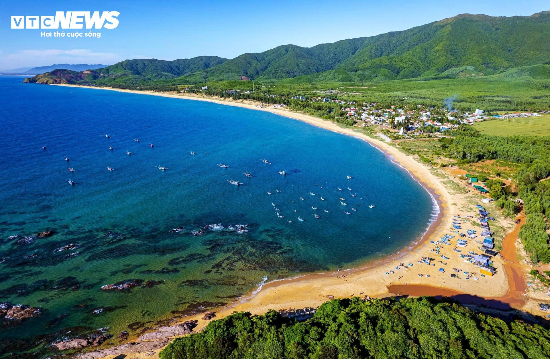 Về làng chài Lộ Diêu ở Gia Lai xem ngư dân ‘vẽ hình’ cỏ ba lá trên biển - 9