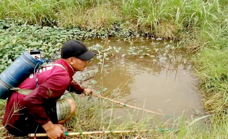 Xuyệt điện - Ảnh 2.