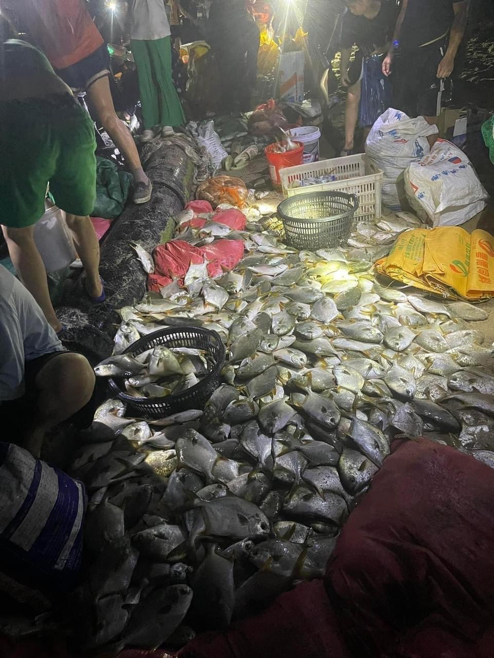 photo-1759292774230 photo-1759292774230