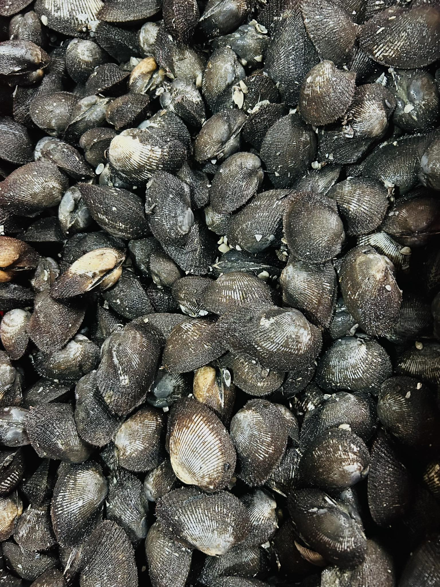 photo-1759292831283 photo-1759292831283