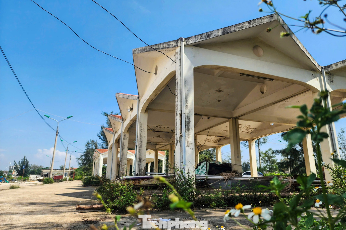 "Cảng cá từng được đầu tư hàng chục tỷ đồng nhưng luồng bị bồi lắng khiến cảng không phát huy hiệu quả. Trong khi việc nạo vét phải có kinh phí lớn nên địa phương đang chờ phương án từ tỉnh", lãnh đạo địa phương thông tin. tp-17.jpg