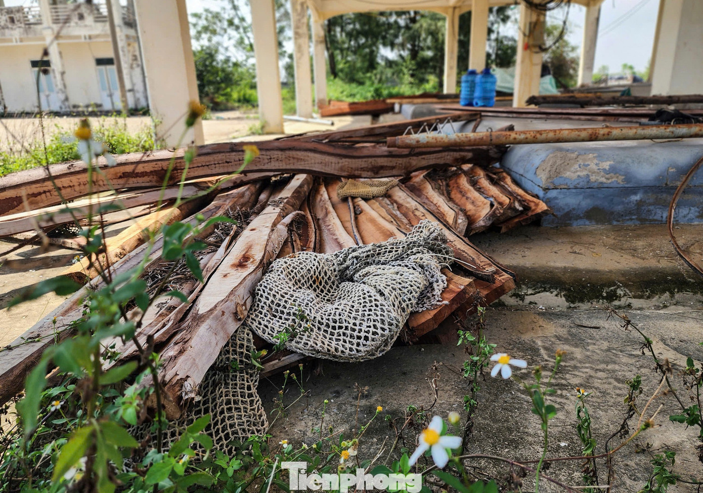 Khung cảnh nhếch nhác ở khu vực cảng cá. tp-19.jpg