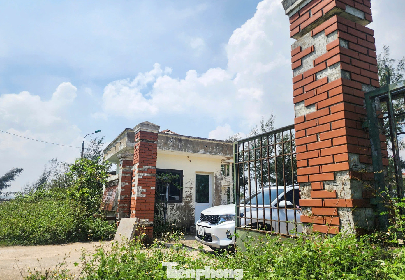 Việc cảng cá đầu tư hàng chục tỷ song không phát huy hiệu quả, bỏ hoang gây lãng phí. tp-7.jpg