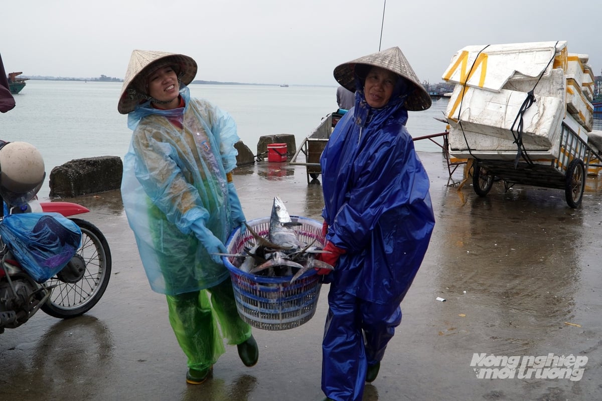 9 tháng đầu năm, khai thác thủy sản tại tỉnh Quảng Trị diễn ra nhộn nhịp. Ảnh: Võ Dũng.