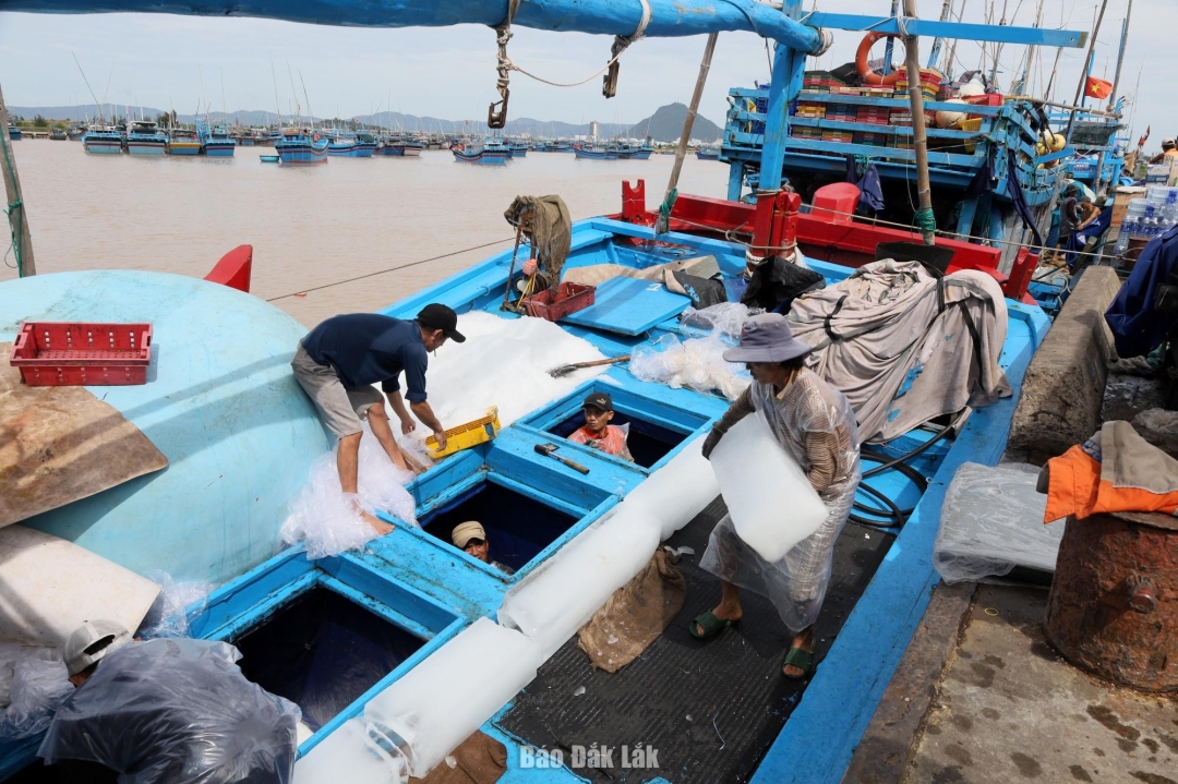 Ngư dân chuẩn bị vật tư, lương thực cho chuyến đánh bắt xã bờ tại Cảng cá Đông Tác.