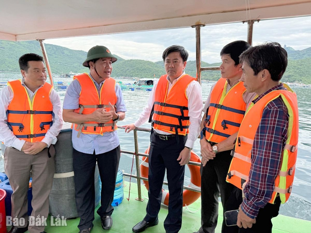 Phó Chủ tịch UBND tỉnh Nguyễn Thiên Văn kiểm tra khu vực nuôi thủy sản tại vịnh Vũng Rô.