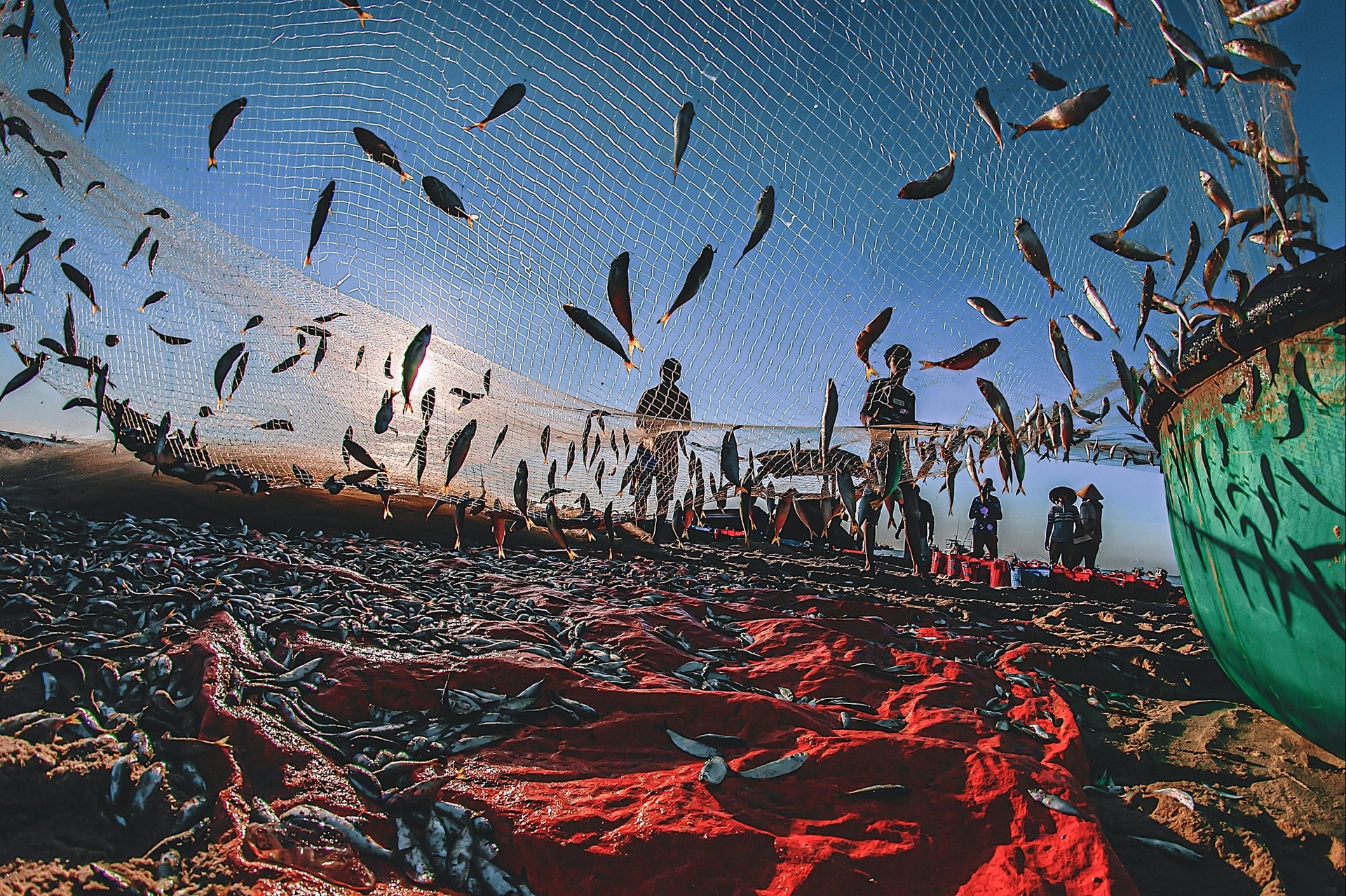 t1_Vào Mùa-Nguyễn Thanh Cường