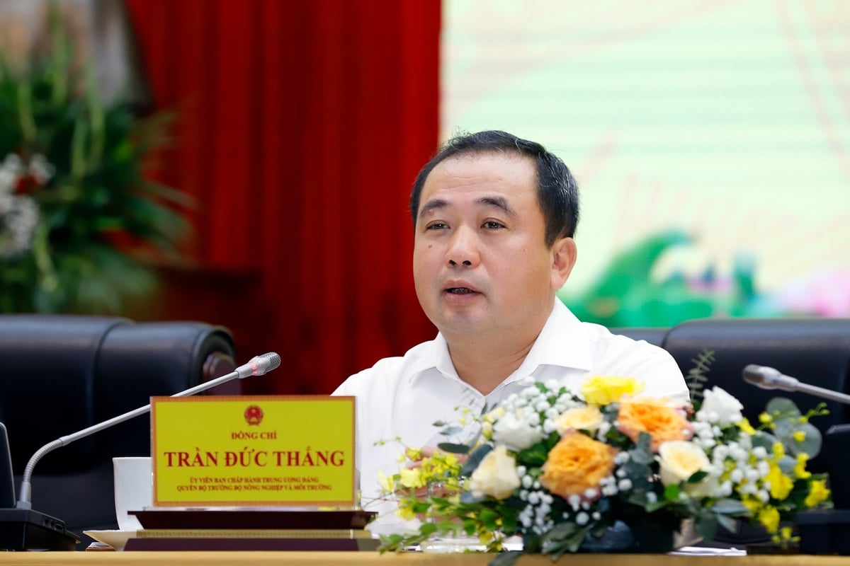 Quyền Bộ trưởng Trần Đức Thắng chỉ đạo Hội nghị. Ảnh: Khương Trung.