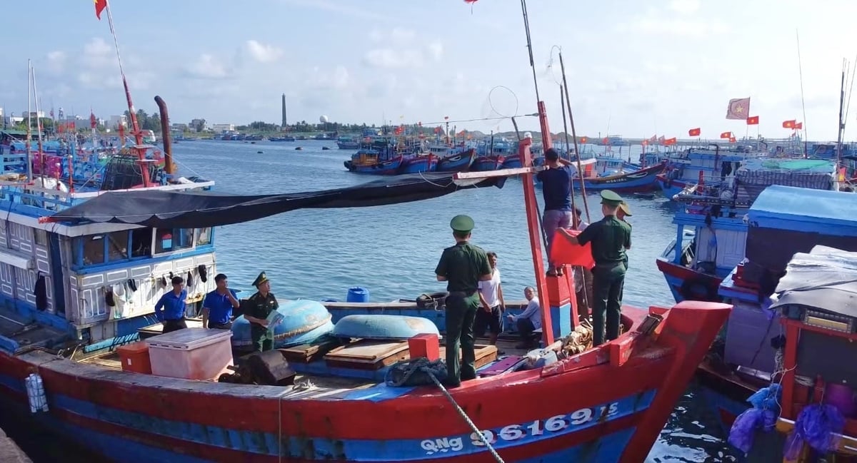 Công nghệ số là bước tiến giúp Việt Nam từng bước gỡ 'thẻ vàng' IUU, mở rộng cánh cửa cho thủy sản vươn ra biển lớn. Ảnh: Võ Hà.