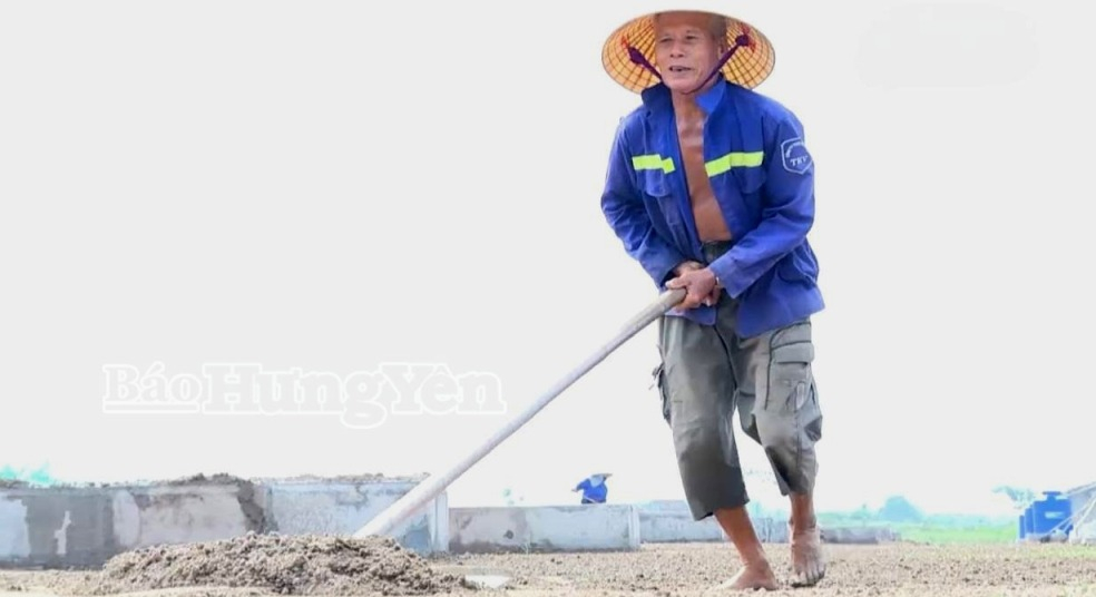 Ông Vũ Đức Liễn (80 tuổi) vẫn cần mẫn lao động trên cánh đồng muối. 