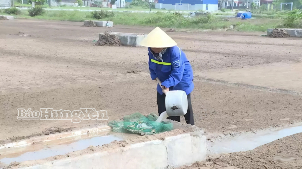 Múc nước biển vào bể lắng là một trong những công đoạn làm muối truyền thống tại thôn Tam Đồng. 