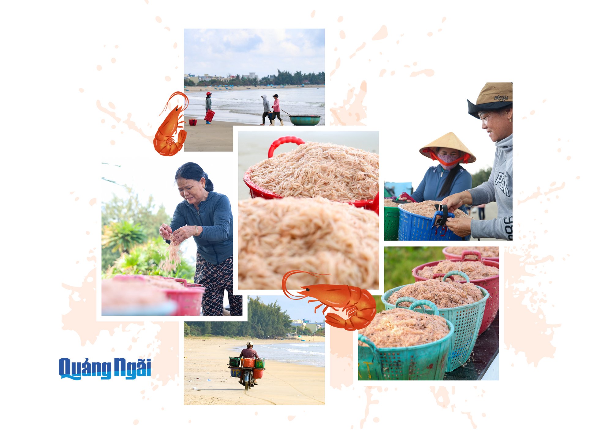 Báo và Phát thanh, Truyền hình Quảng Ngãi