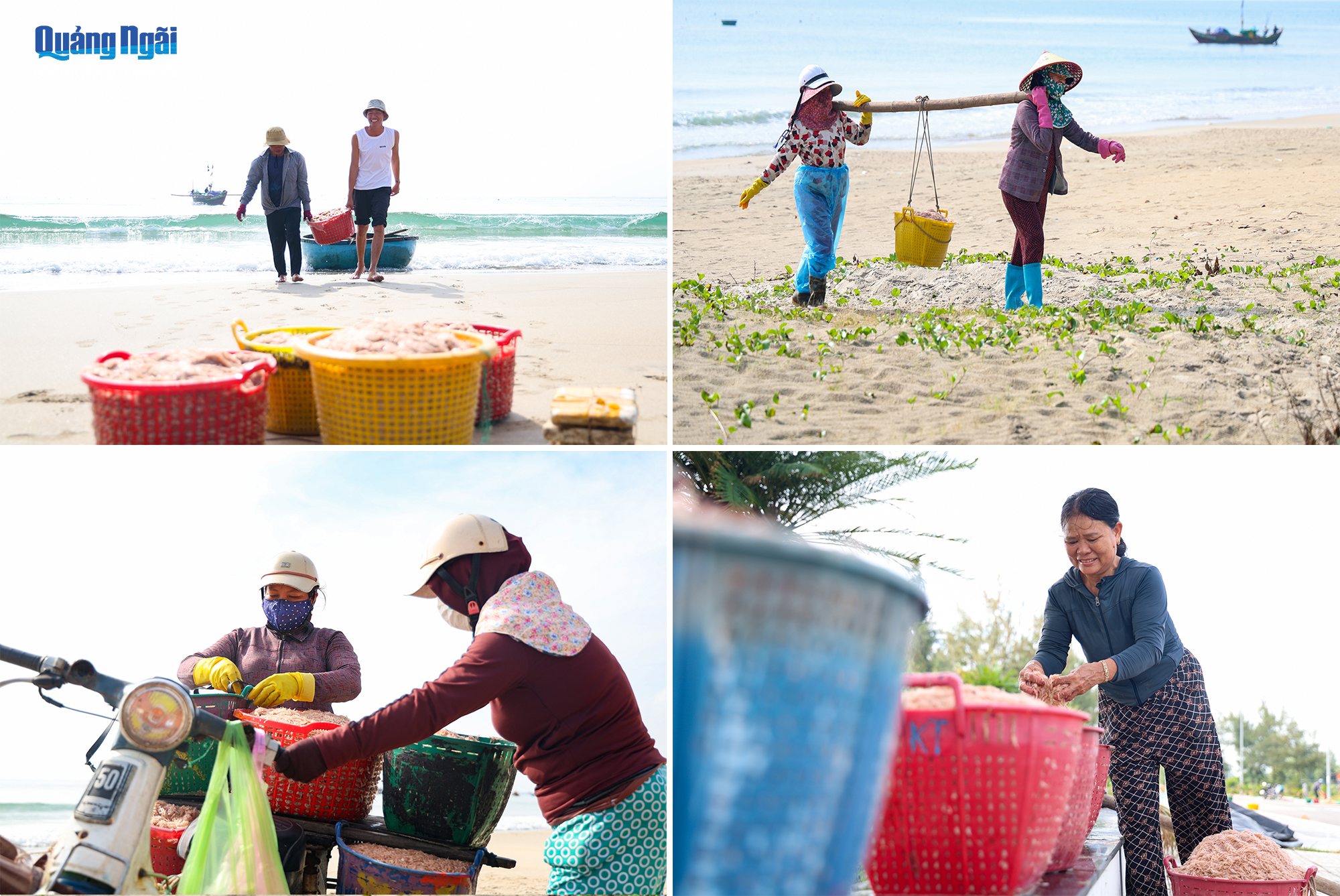 Báo và Phát thanh, Truyền hình Quảng Ngãi